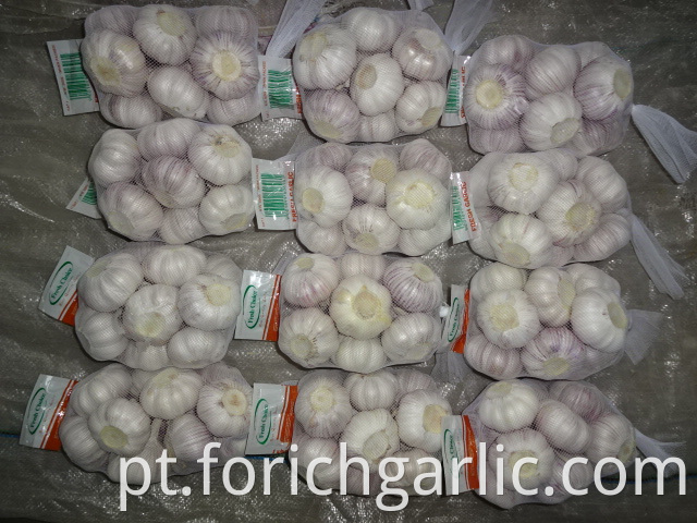 Garlic New Crop